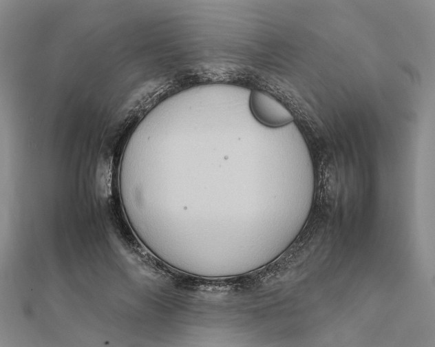 X0000112090694200908251128