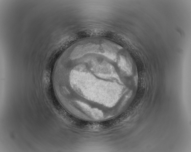 X0000112090695200908251128