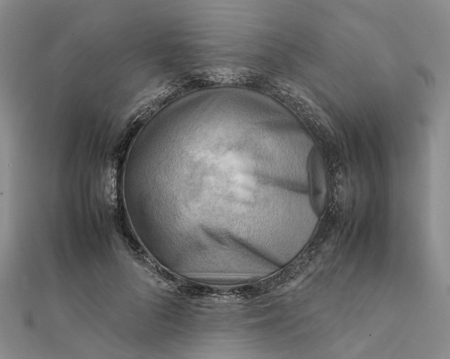 X0000112090696200908251128