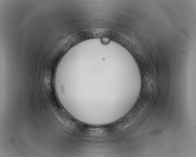 X0000112090698200908251128