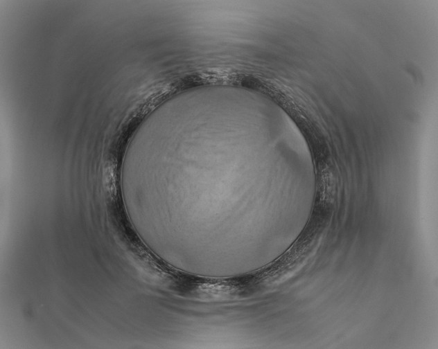 X0000112090699200908251128