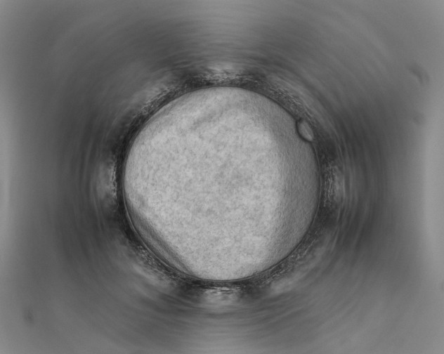 X0000112090700200908251128