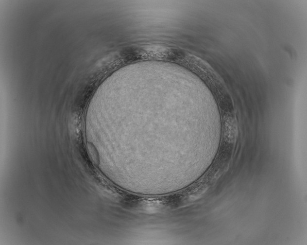 X0000112090701200908251128