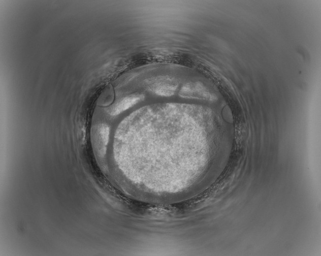 X0000112090703200908251128