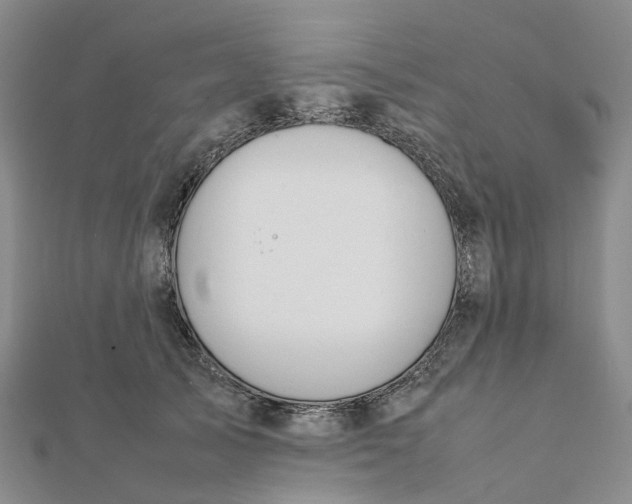 X0000112090705200908251128