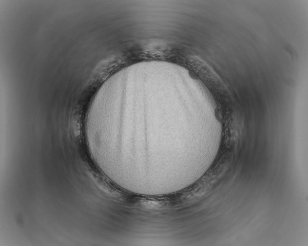 X0000112090706200908251128