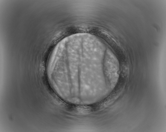 X0000112090707200908251128