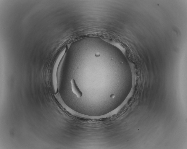 X0000112090708200908251128