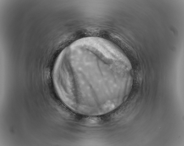 X0000112090711200908251128