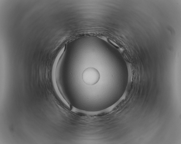 X0000112090712200908251128