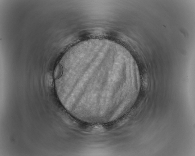 X0000112090715200908251128