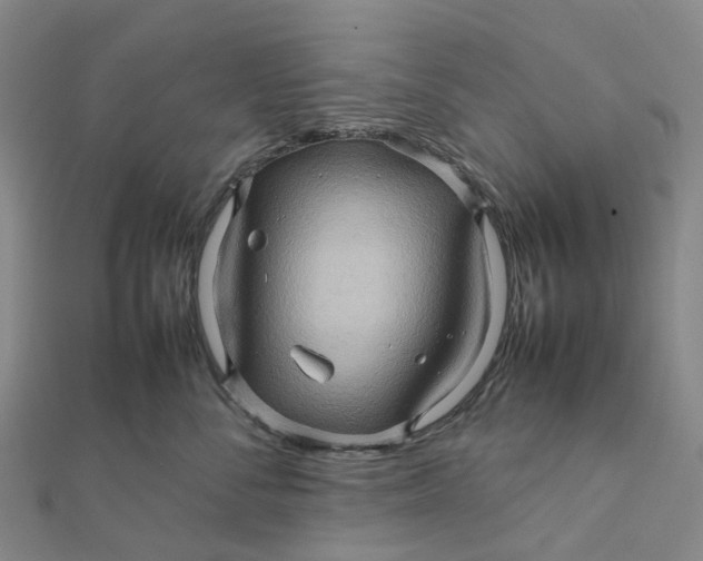 X0000112090716200908251128