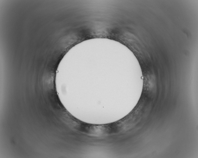 X0000112090717200908251128