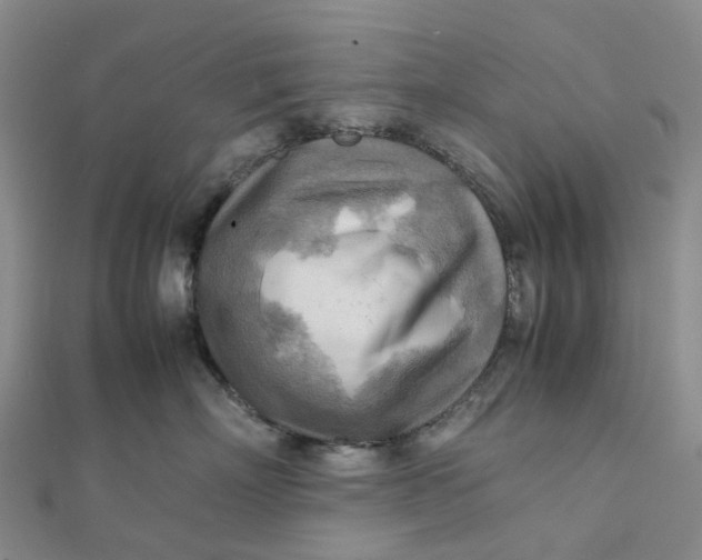 X0000112090718200908251128