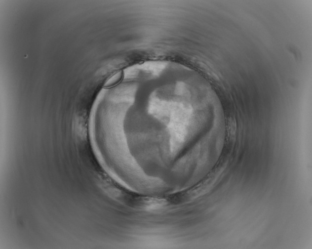 X0000112090719200908251128