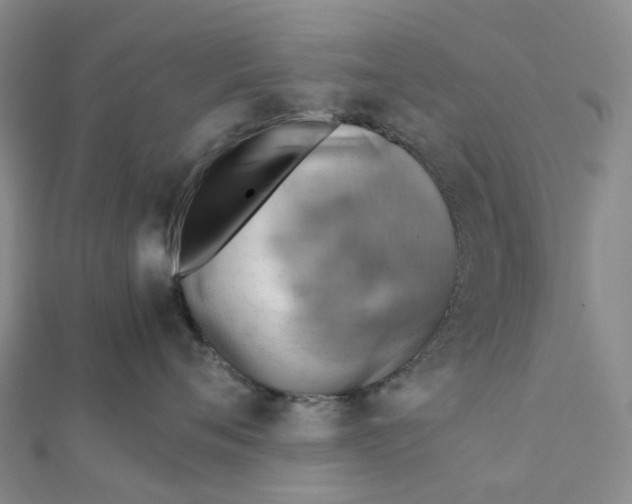 X0000112090720200908251128