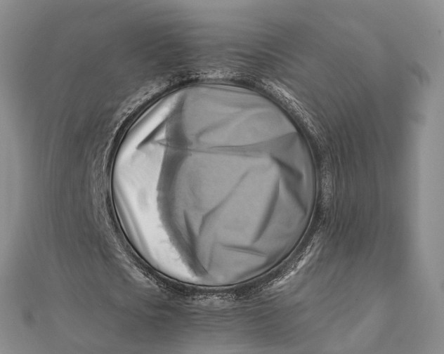 X0000112090721200908251127