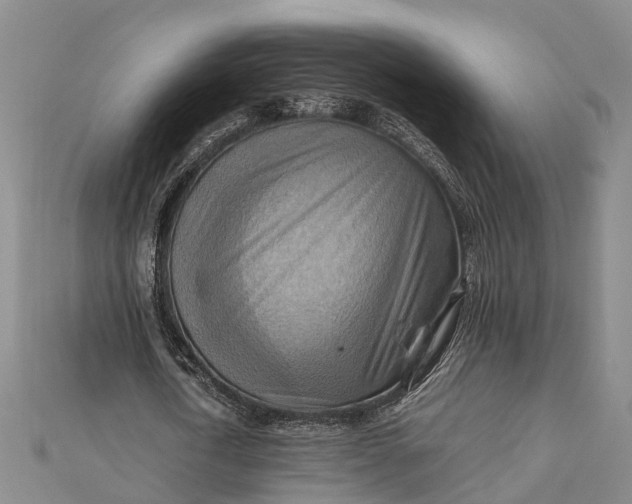 X0000112090722200908251127