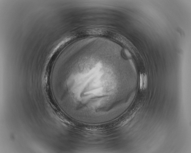 X0000112090723200908251127