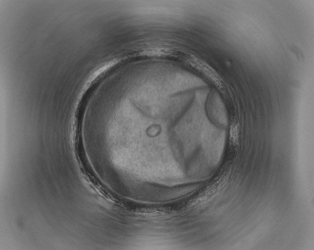 X0000112090724200908251127