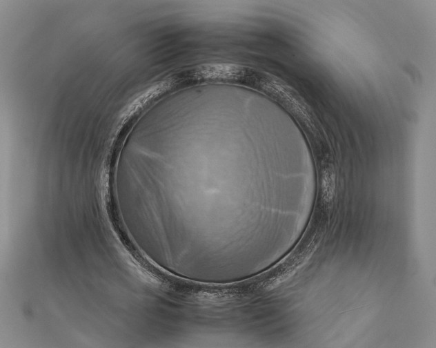 X0000112090725200908251127