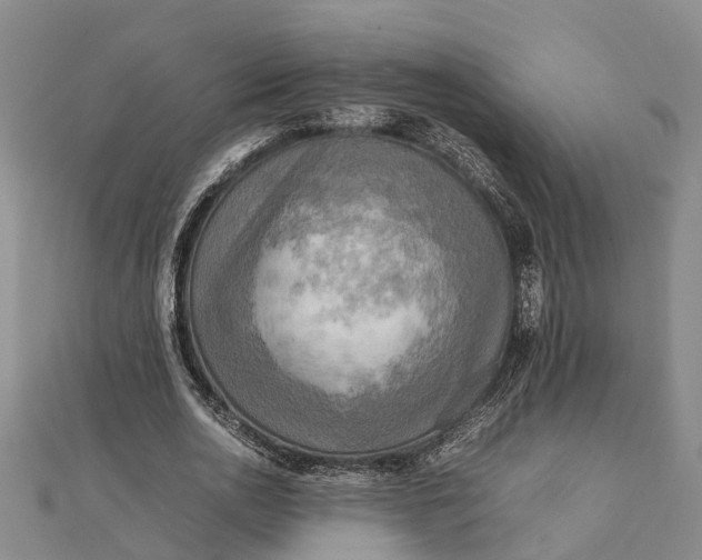 X0000112090726200908251127