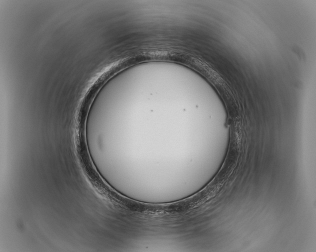 X0000112090728200908251127