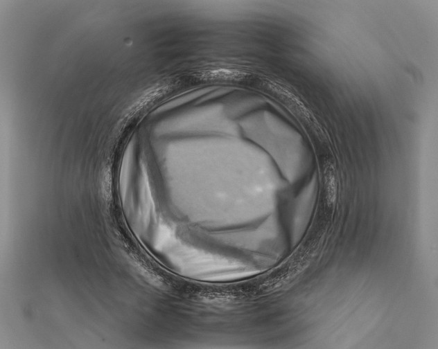 X0000112090729200908251127