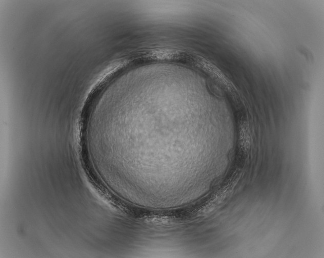 X0000112090730200908251127