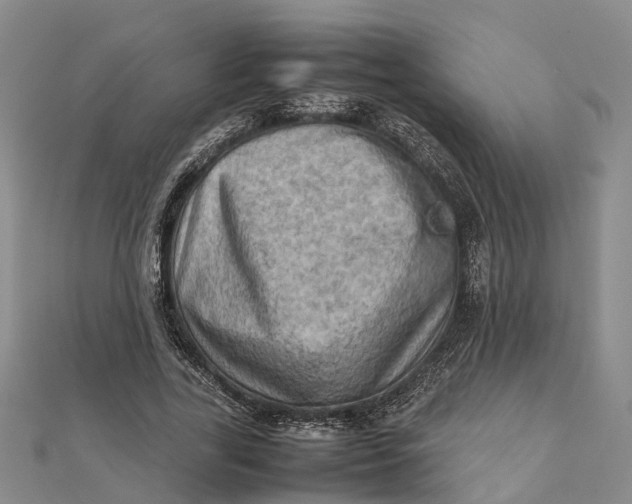 X0000112090731200908251127