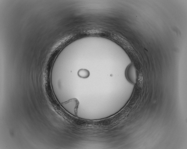 X0000112090732200908251127