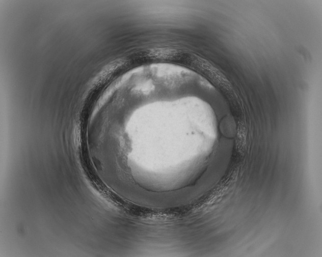 X0000112090734200908251127