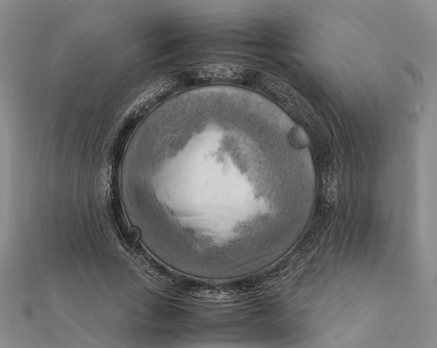 X0000112090735200908251127