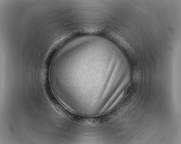 X0000112090736200908251127