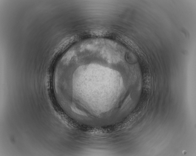 X0000112090738200908251127