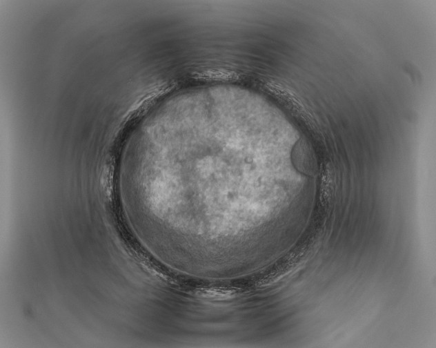 X0000112090739200908251127