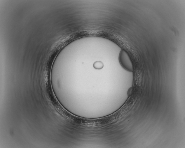 X0000112090740200908251127