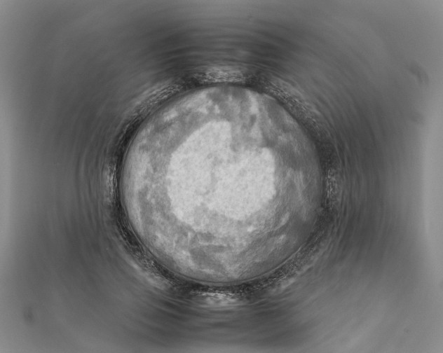 X0000112090741200908251127