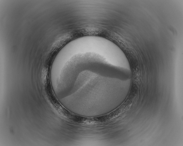 X0000112090742200908251127