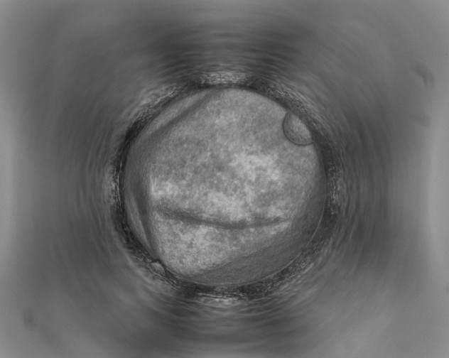 X0000112090743200908251127