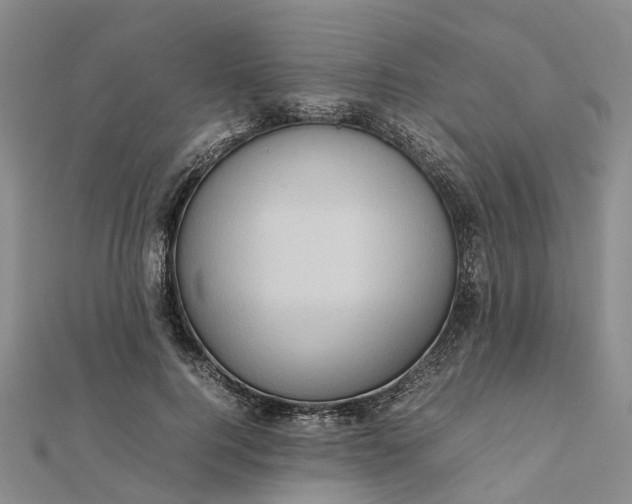 X0000112090744200908251127