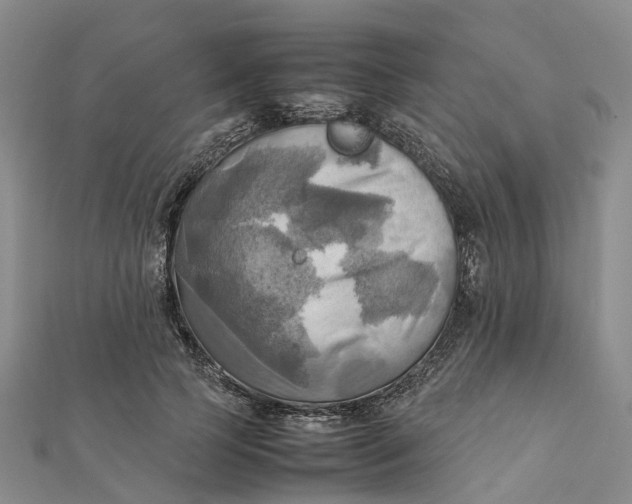 X0000112090745200908251127