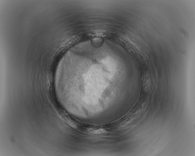 X0000112090747200908251127