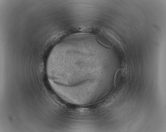 X0000112090748200908251127