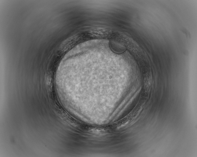 X0000112090749200908251127