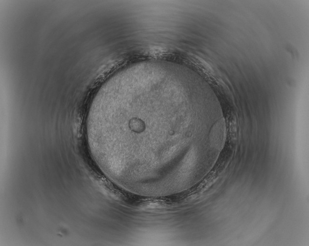 X0000112090750200908251127