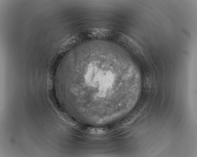 X0000112090751200908251127