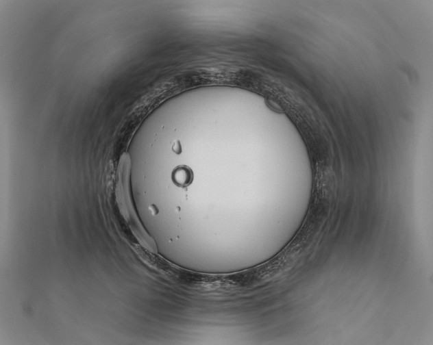 X0000112090752200908251127