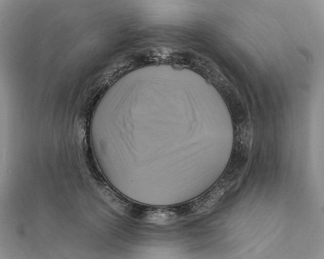 X0000112090754200908251127