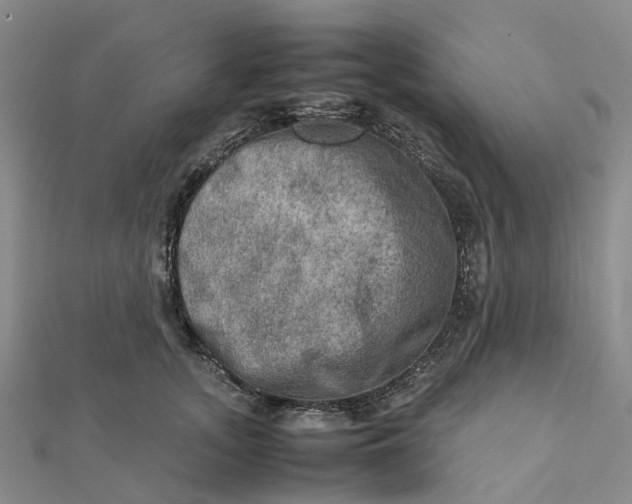 X0000112090755200908251127